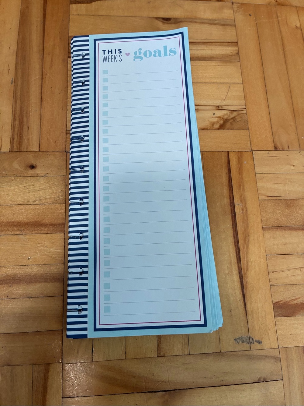 Happy Planner Weekly Goals Notepad - Light Blue & Navy Stripes